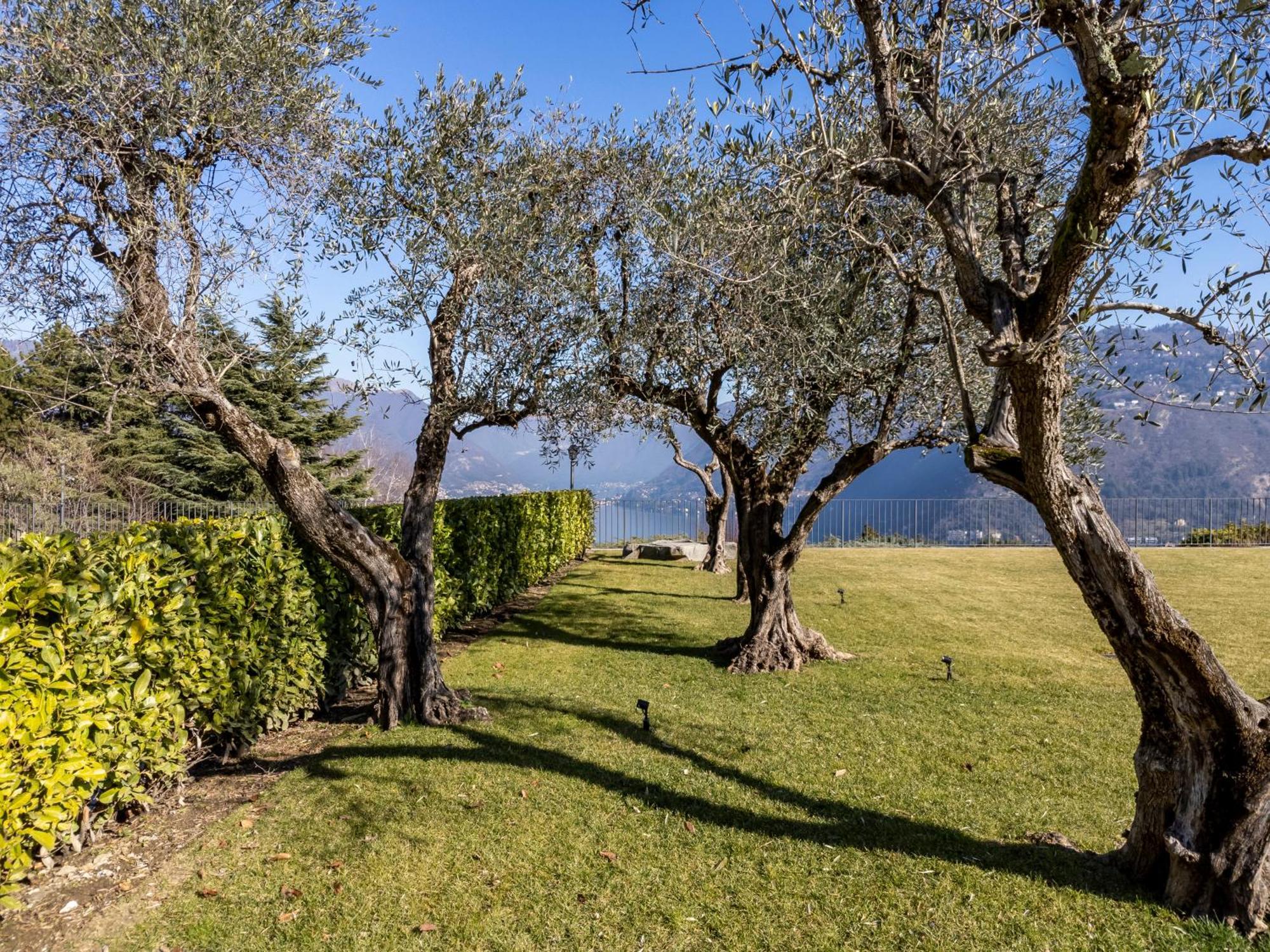 Alex'S Luxury Lake View Apt Pool And Tennis Como Exteriör bild
